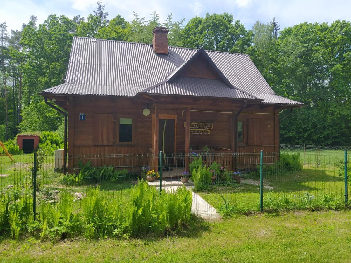 Gajowka Zlobek Villa Zlobek  Екстериор снимка